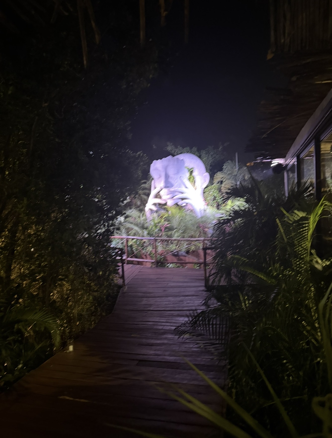 An illuminated garden during an evening out.